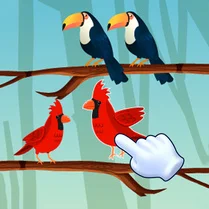 Play Bird Sort