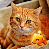 Play Cats Jigsaw Puzzle - Free Math Game