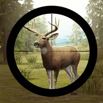 Play Contract Deer Hunter