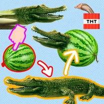 Play Create Bombardiro Crocodilo - Бесплатная математическая игра