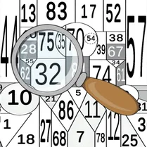 Play The Digital Puzzle: Find all the numbers!
