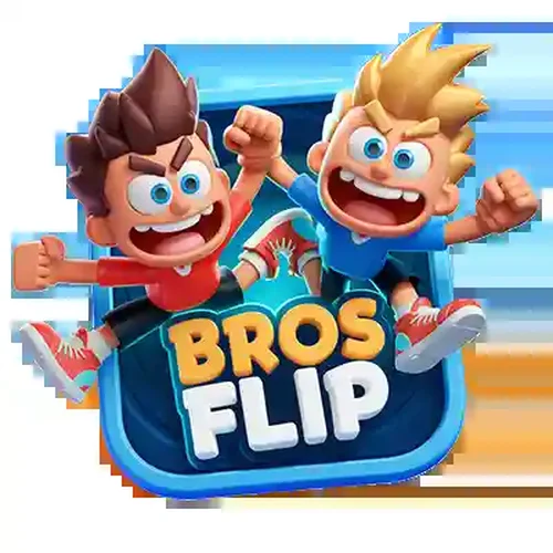 Play Flip Bros