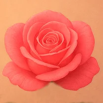 Play Flower Union - Free Math Game