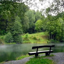 Play Forest Jigsaw Puzzles - Free Math Game
