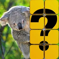 Play Guess the picture - Free Math Game