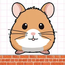 Play Hide hamster - Free Math Game