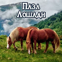 Play Horses Jigsaw Puzzle - Free Math Game