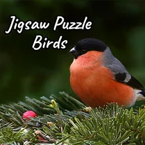 Play Jigsaw Puzzle Birds