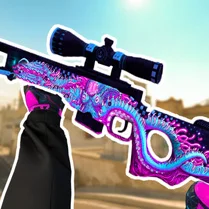 Play KS 2 Snipers