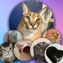 Play Merge a cat meme