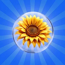 Play Merge Flowers: Original!