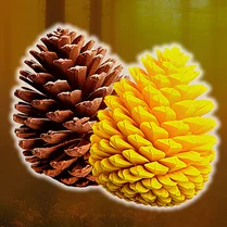 Play Merge: From Seed to Cone! - 무료 수학 게임