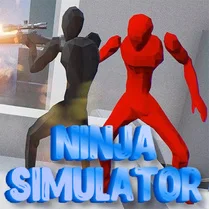 Play Ninja Simulator