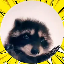 Play Pedro The Raccoon - Jeu de mathématiques gratuit
