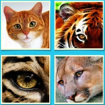 Play 4 Photos and a Word