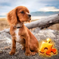 Play Puppies Jigsaw Puzzle - Free Math Game