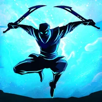 Play Shadow Ninja Revenge