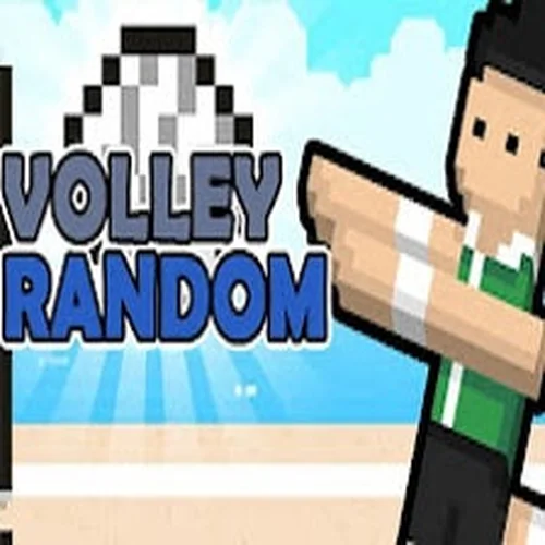 Play Volley Random